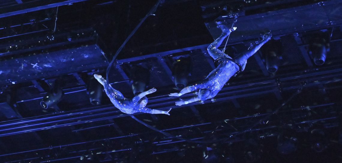 Nick Hutchinson - Gymnastics