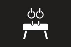 International standard gymnastics arena