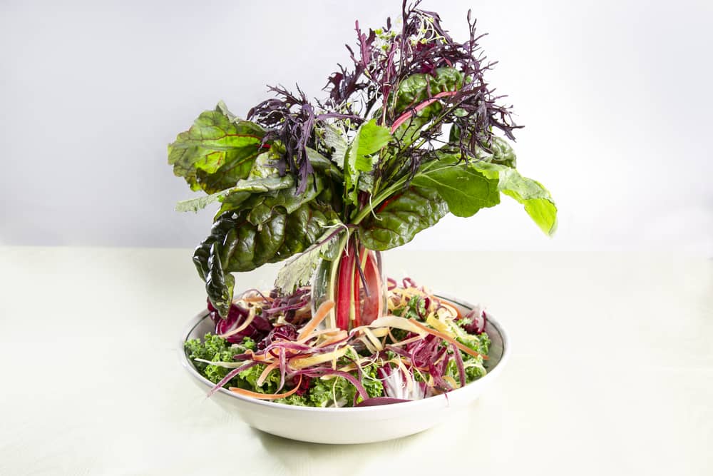 京野菜の季節のサラダ
