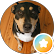 Profile photo of nicksta6