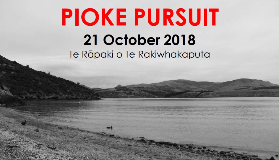 Pioke Pursuit
