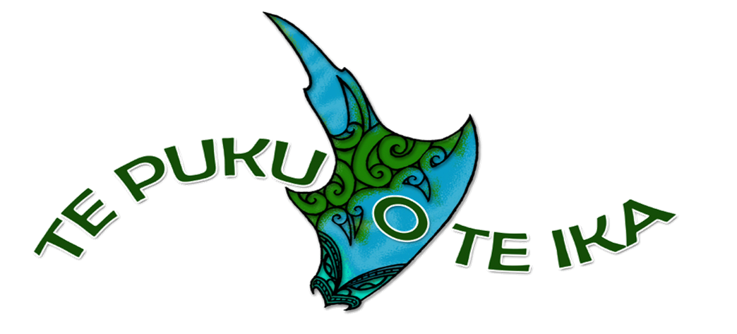 Te Puku O Te Ika Regional Regatta Results Day 2 results are online!