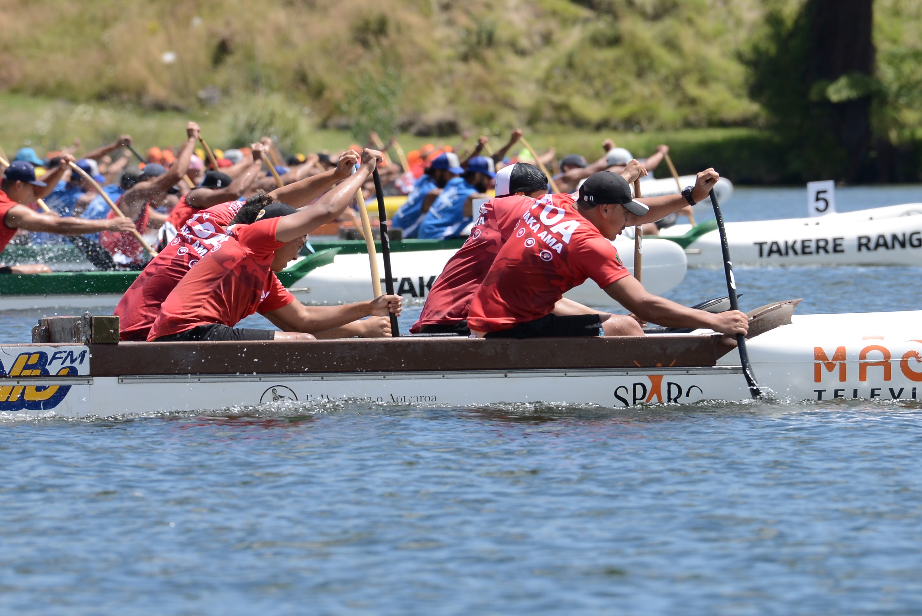 W12 races at Hoe Tonga Regional Sprint Champs 2016