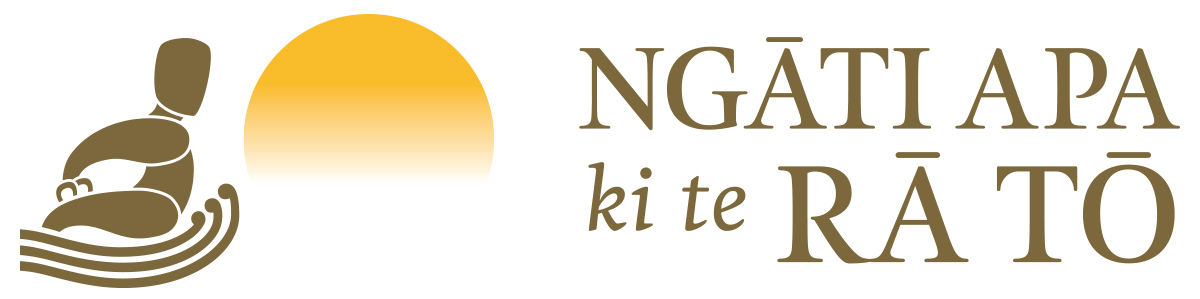 Waka Te Tasman 2017 Updates