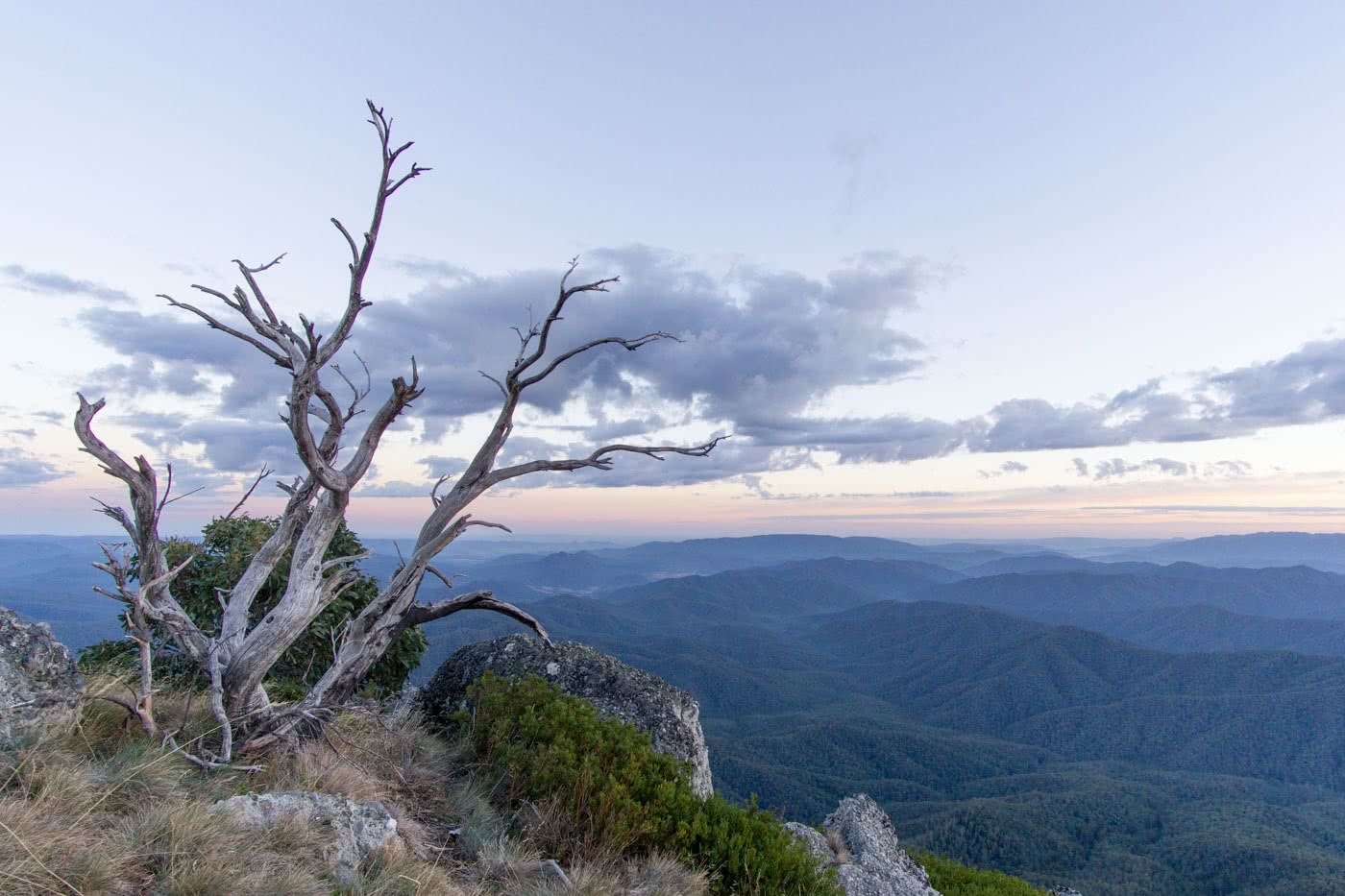 Mt Cobbler Plateau Circuit in Victoria’s Alpine National Park