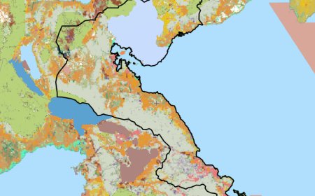 Hutan Rusak, Emisi Naik: Morowali dan Morut Catat 5 Juta Ton CO₂e Setiap Tahun