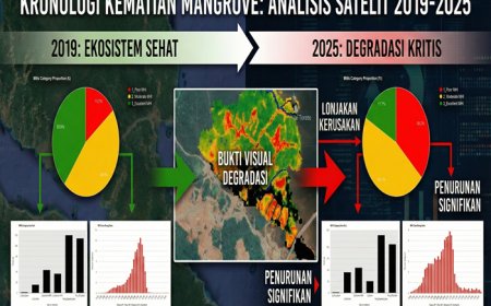 Kematian Senyap Hutan Bakau: Potret Buram Masa Depan Pesisir Bungku