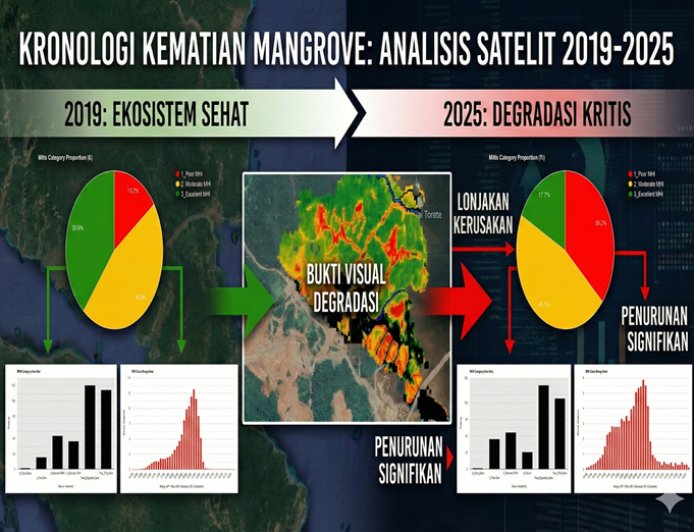 Kematian Senyap Hutan Bakau: Potret Buram Masa Depan Pesisir Bungku