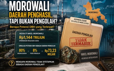Morowali Tak Masuk Daerah Pengolah, Berapa Potensi DBH yang Terlewat?