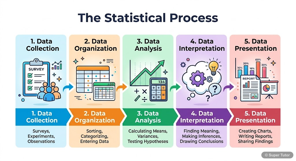 An infographic illustrating the five main steps of statistics: Collection, Organization, Analysis, Interpretation, and Presentation of data. Each step should have a small icon and a brief description.