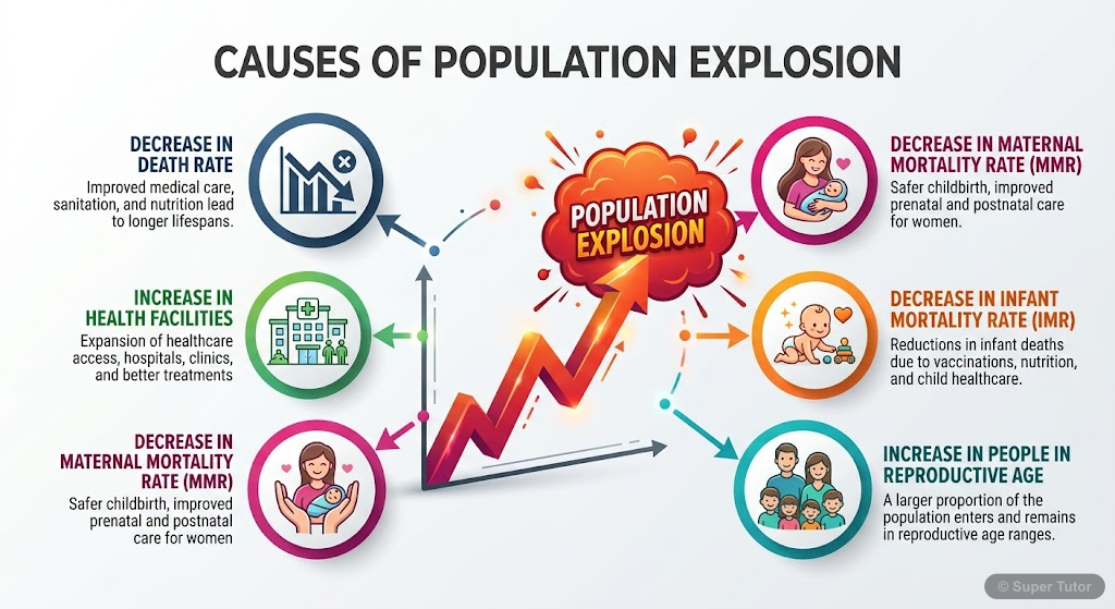An infographic detailing the primary reasons behind rapid population growth, such as decreased death rates, increased health facilities, and reduced maternal and infant mortality rates.