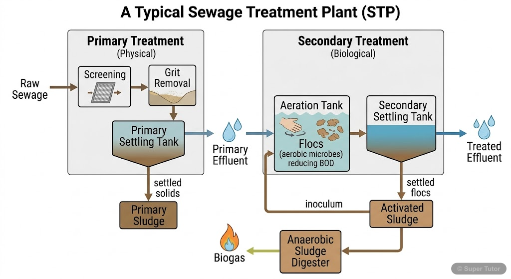 A comprehensive flowchart illustrating the primary and secondary (biological) treatment stages of a sewage treatment plant, including key components and processes like filtration, sedimentation, aerat