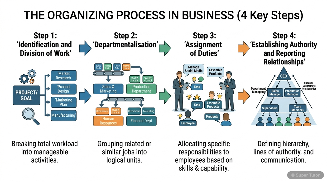 A flowchart illustrating the four key steps in the organising process: Identification and division of work, Departmentalisation, Assignment of duties, and Establishing authority and reporting relation