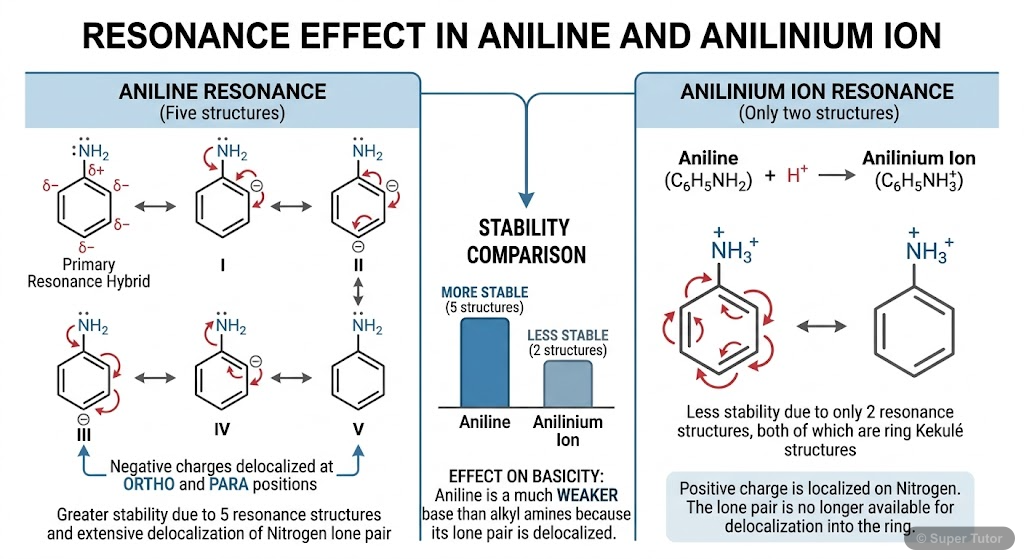 A diagram showing the resonance structures of aniline, demonstrating how the lone pair on nitrogen is delocalized into the benzene ring, making it less available for protonation and thus reducing basi