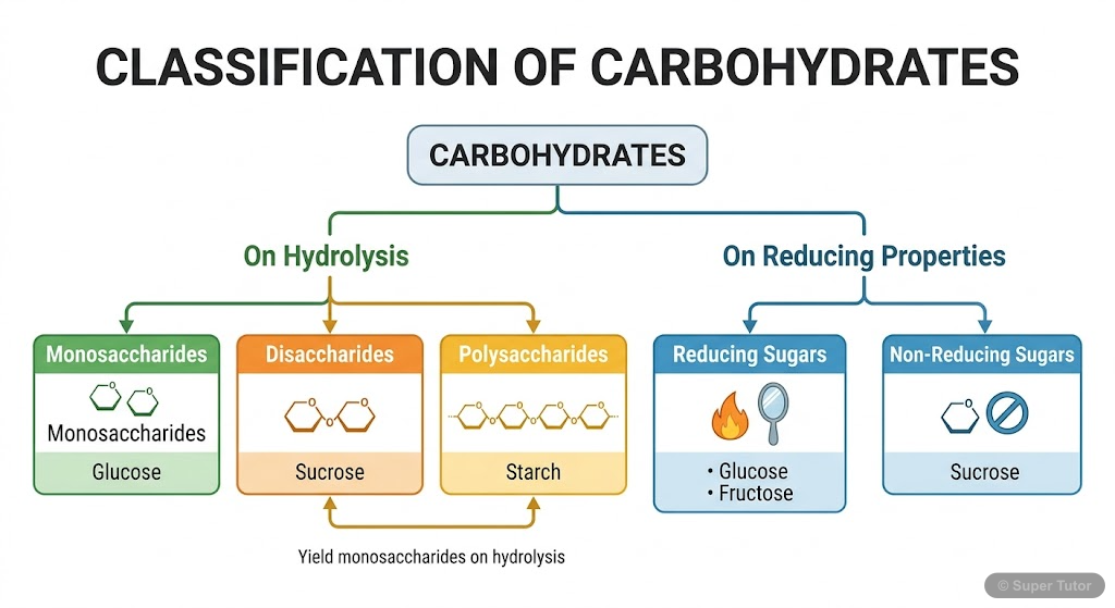 Classification of Carbohydrates A flowchart illustrating the classification of carbohydrates based on their behavior on hydrolysis (monosaccharides, disaccharides, polysaccharides) and reducing properties (reducing vs. non-reducing