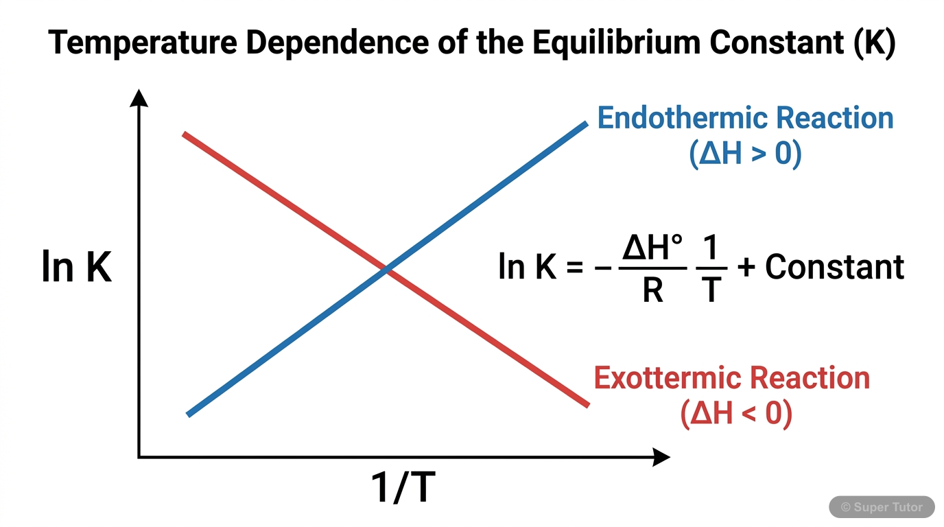 A graph showing the relationship between the natural logarithm of the equilibrium constant (ln K) and the inverse of temperature (1/T) for both endothermic and exothermic reactions, as described by th