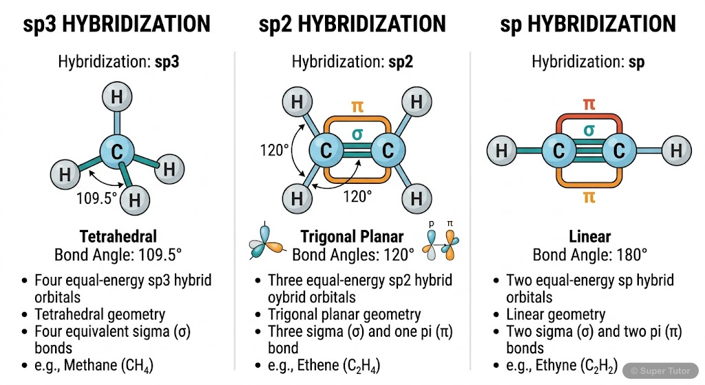 A diagram illustrating the sp3, sp2, and sp hybridization states of carbon, showing the arrangement of atoms and bond angles for tetrahedral, trigonal planar, and linear geometries respectively. Inclu