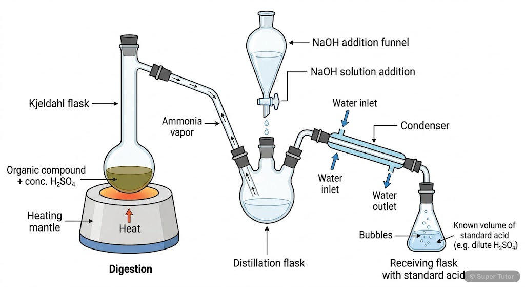 A labeled diagram of the Kjeldahl's apparatus used for the quantitative estimation of nitrogen in an organic compound, involving digestion, distillation, and titration.