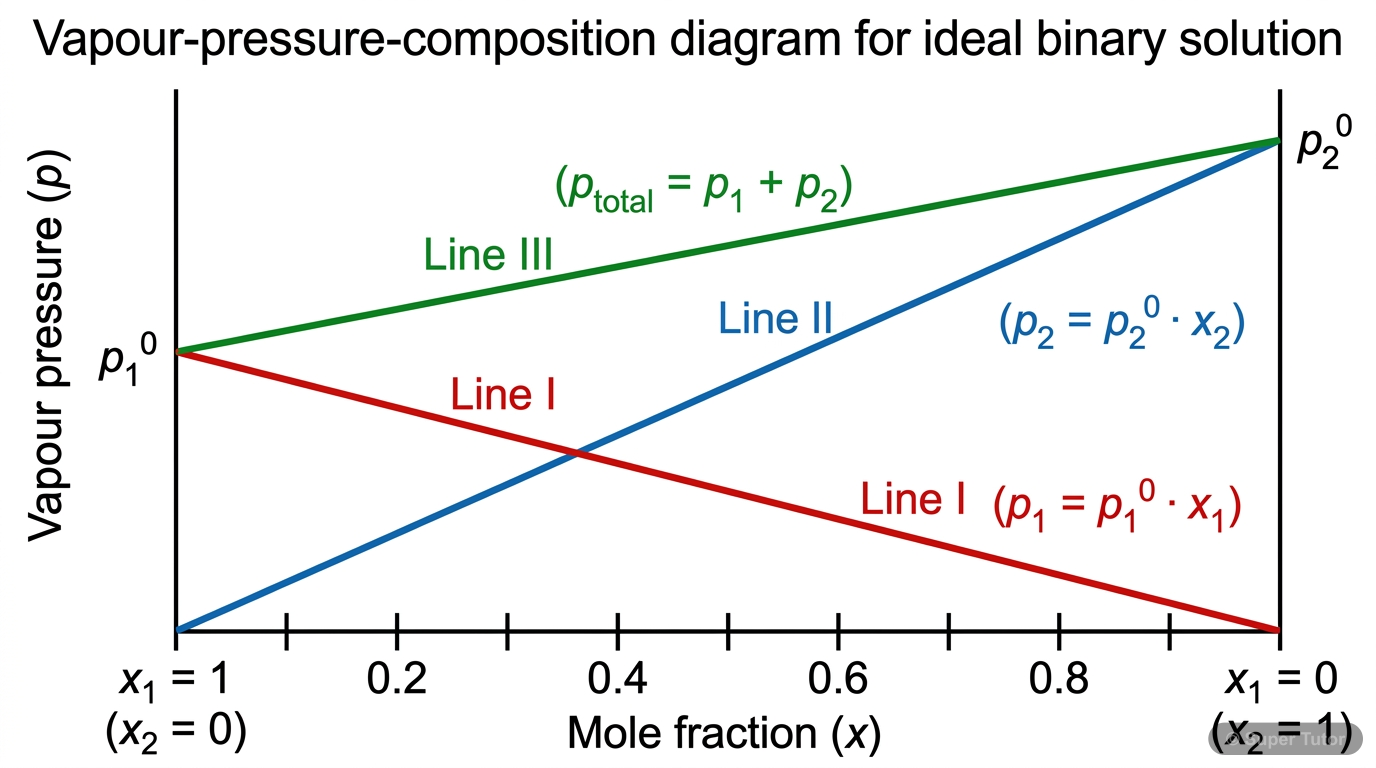 Raoult's Law for Liquid-Liquid Solutions A graph illustrating Raoult's Law for an ideal binary liquid-liquid solution, showing the partial vapor pressures of components and total vapor pressure as a function of mole fraction.