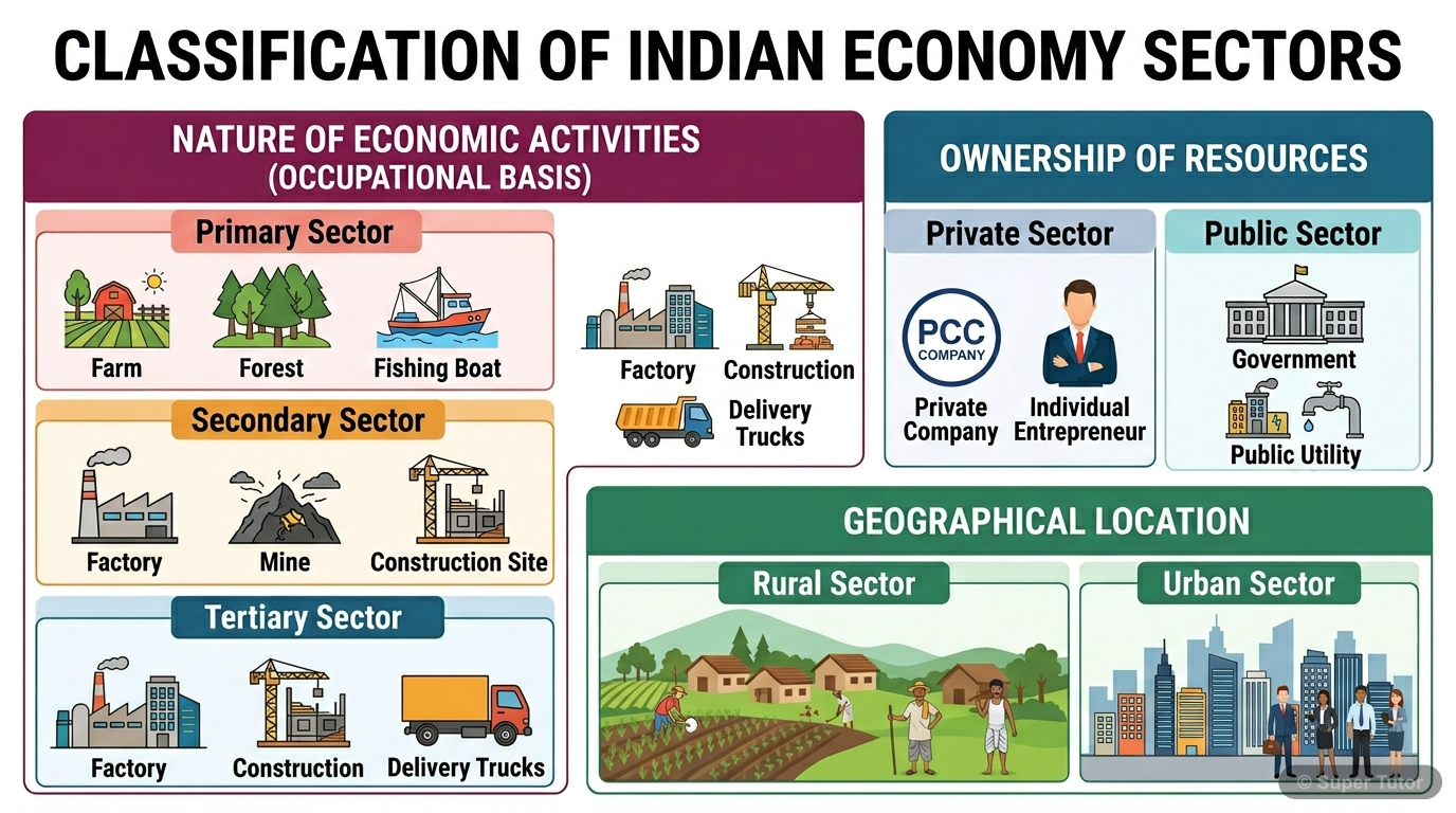 An infographic illustrating the three main ways to classify the Indian economy into sectors: by Nature of Economic Activities (Primary, Secondary, Tertiary), by Ownership of Resources (Private, Public