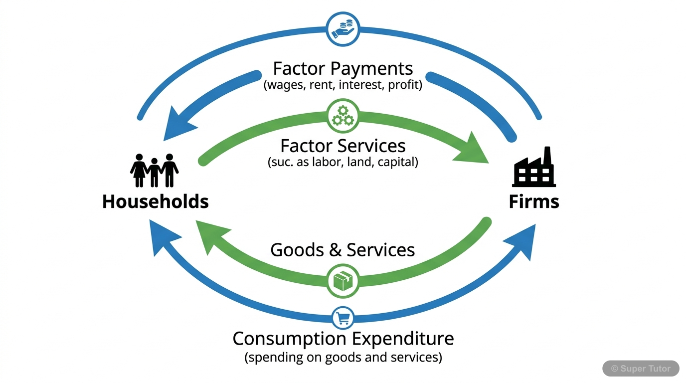 A diagram illustrating the circular flow of income between households and firms in a simple economy without government, external trade, or savings. Shows the flow of goods and services, factors of pro