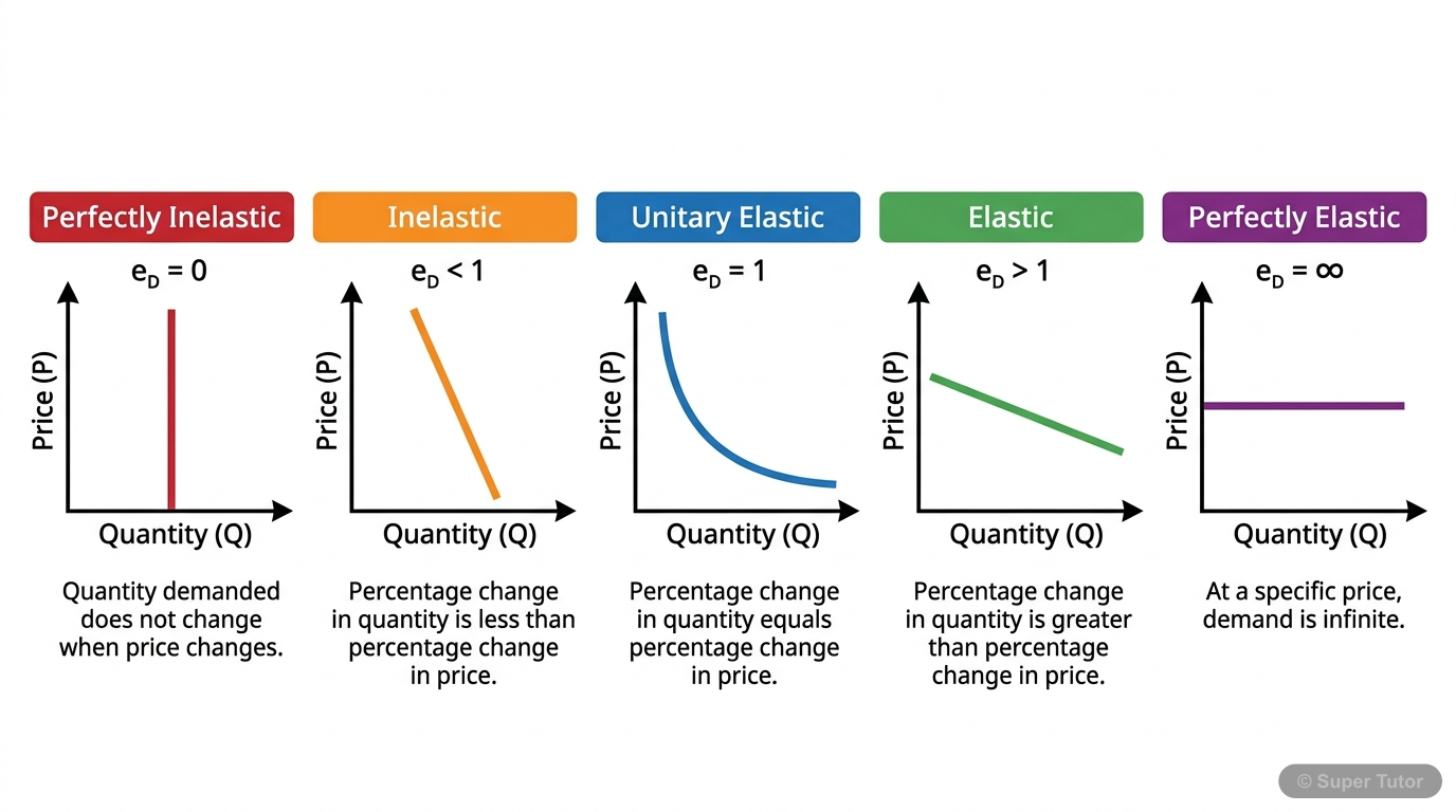 Spectrum of Price Elasticity of Demand A diagram illustrating different types of price elasticity of demand: perfectly inelastic, inelastic, unitary elastic, elastic, and perfectly elastic, using various demand curve shapes.