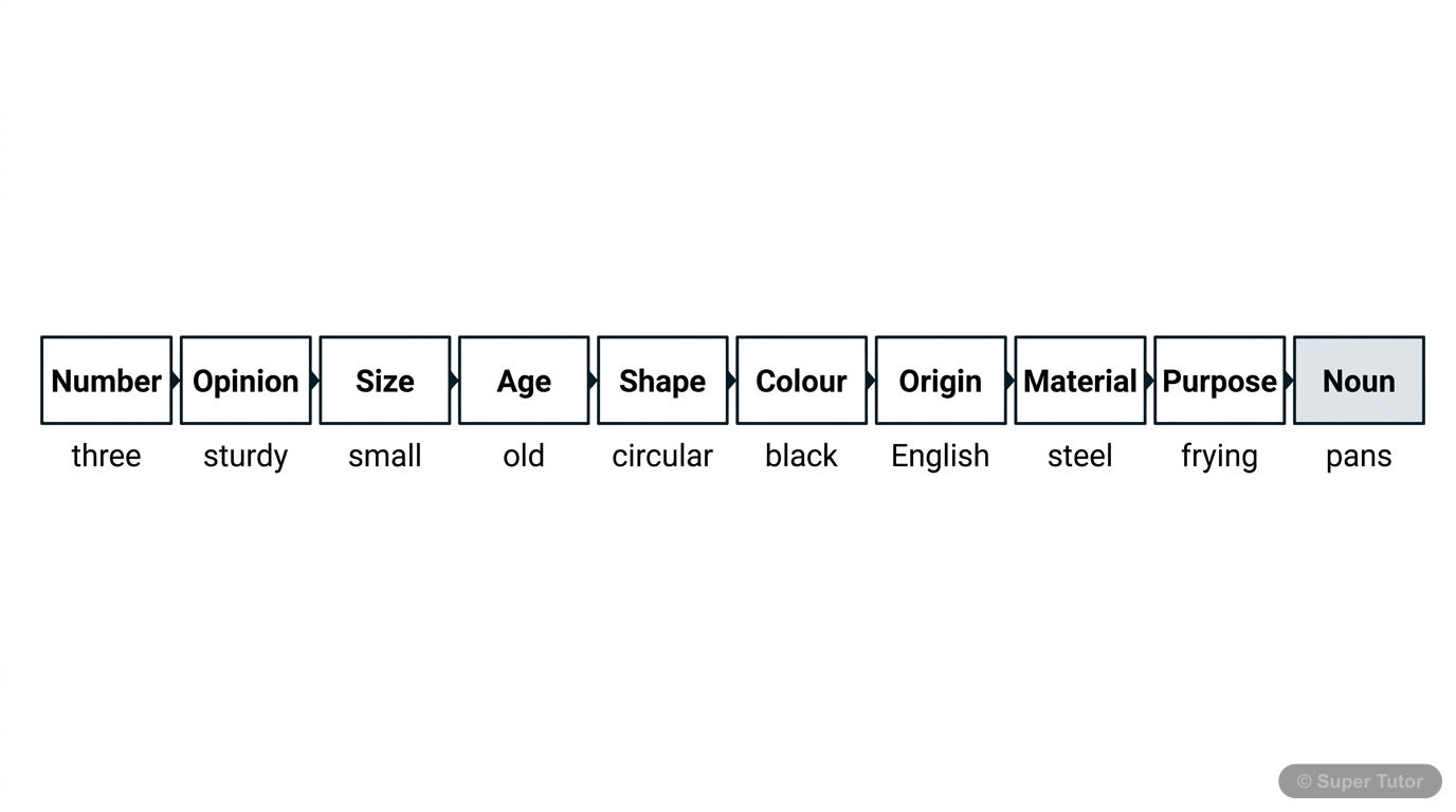 Order of Adjectives A visual diagram illustrating the standard order of adjectives before a noun in English grammar, categorizing them by type (number, opinion, size, age, shape, color, origin, material, purpose) and sho