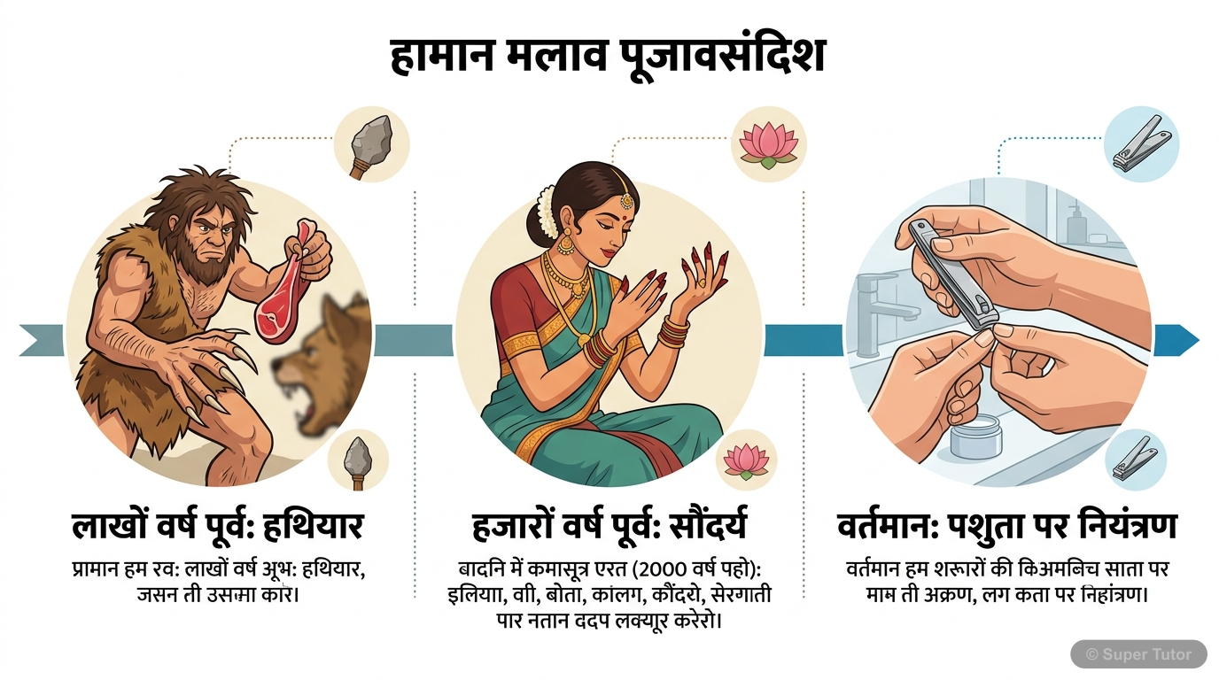 यह इन्फोग्राफिक मनुष्य के नाखूनों के विकास को दर्शाता है, जिसमें प्राचीन काल में उनके हथियार के रूप में उपयोग से लेकर आधुनिक समय में सौंदर्य और फिर पशुता के प्रतीक के रूप में उनकी भूमिका को एक समयरेखा