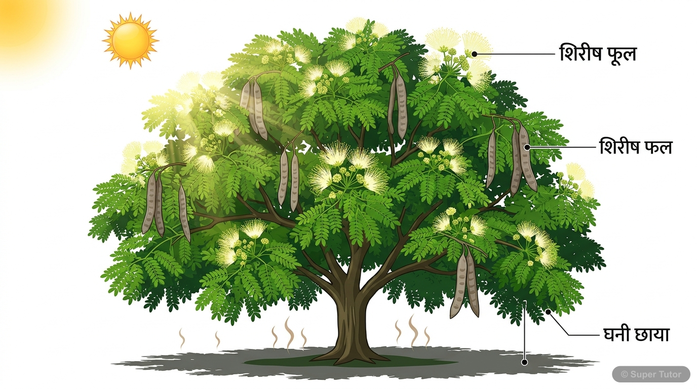 एक शिरीष वृक्ष का चित्रण जो जेठ की जलती धूप में भी फूलों से लदा हुआ है, उसकी छायादार और घनी हरीतिमा को दर्शाता है। इसमें शिरीष के फूलों की कोमलता और फलों की दृढ़ता भी दिखाई गई है।