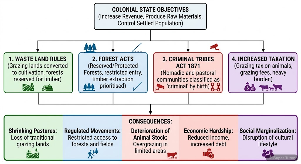 A flowchart illustrating the various ways colonial rule in India negatively impacted the lives of pastoral communities, leading to shrinking grazing lands, regulated movements, increased taxes, and so