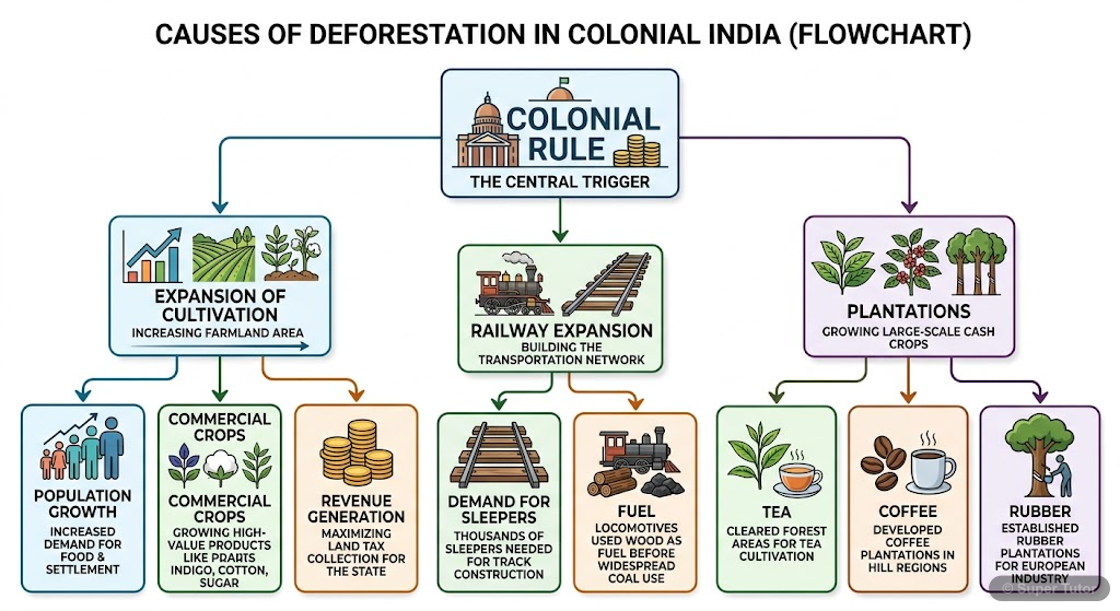 A flowchart illustrating the primary reasons for widespread deforestation in India during the colonial period.