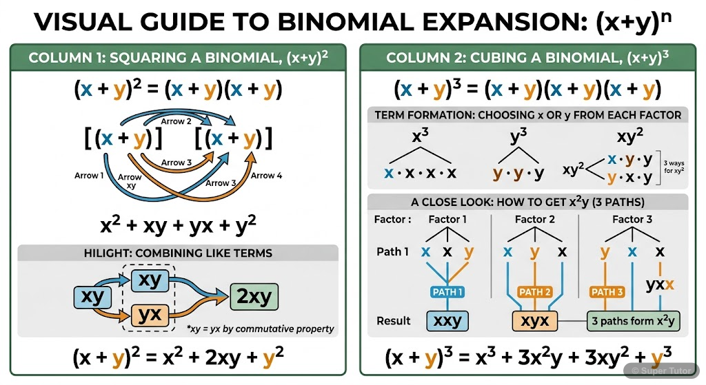 An illustration showing the combinatorial origin of binomial coefficients for (x+y)^2 and (x+y)^3, demonstrating how terms like x^2y arise from selecting x or y from each factor.