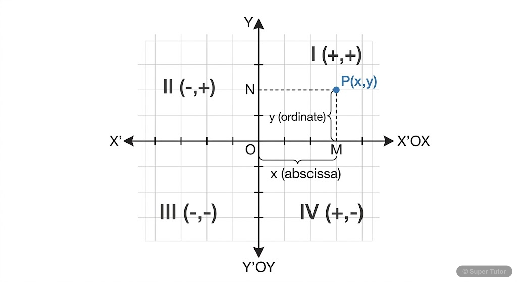 A diagram showing the x-axis, y-axis, origin, and the four quadrants. A point P(x,y) is shown in the first quadrant with its abscissa (x) and ordinate (y) clearly labeled. The signs of (x,y) for each 