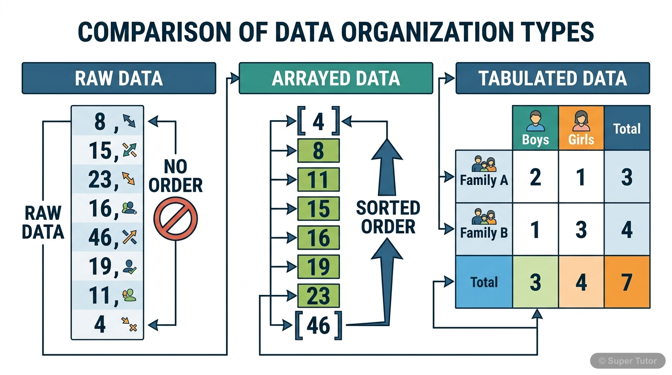 An illustration comparing raw (ungrouped) data, arrayed data (sorted), and tabulated data (organized in a basic table with categories and totals).