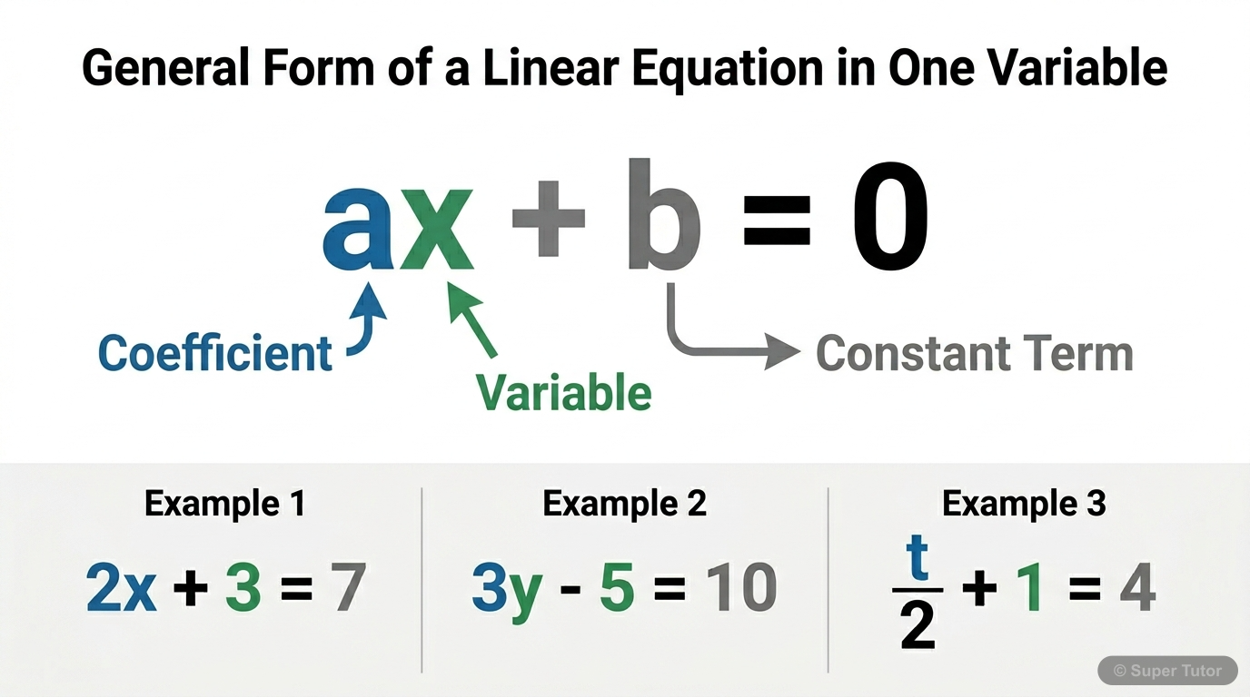 A labeled diagram illustrating the general form of a linear equation in one variable (ax + b = 0), clearly identifying 'a' as the coefficient, 'x' as the variable, 'b' as the constant, and showing exa