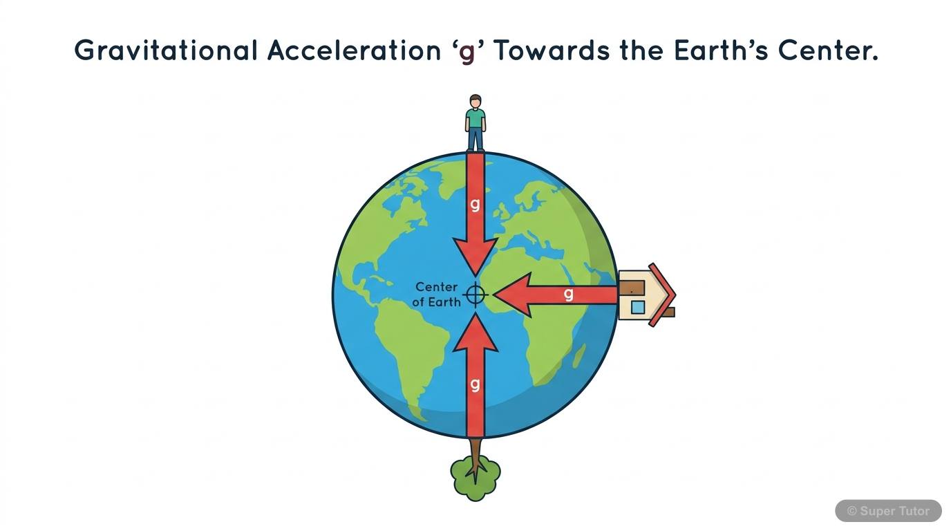 Acceleration Due to Gravity on Earth A diagram showing the Earth as a sphere and multiple objects at different points on its surface, all experiencing acceleration due to gravity (g) directed towards the Earth's center. Illustrates the c