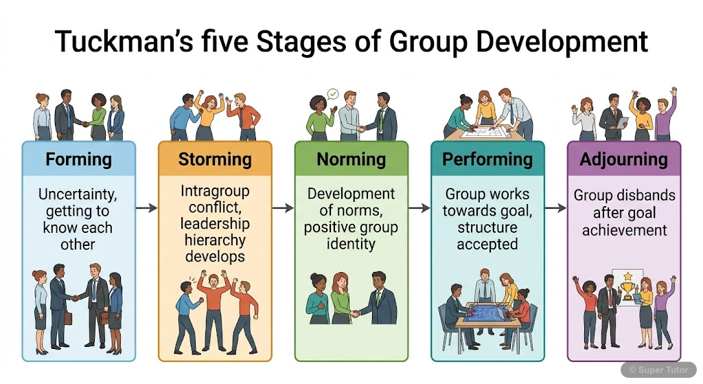 Tuckman's Stages of Group Development A flowchart illustrating Tuckman's five stages of group formation: Forming, Storming, Norming, Performing, and Adjourning, with brief descriptions of each stage.