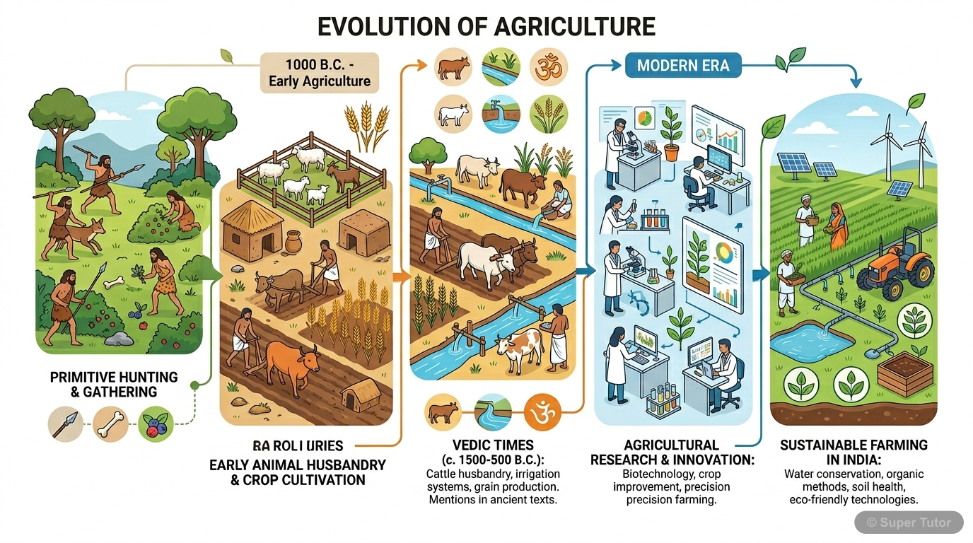 A timeline illustrating the key stages in the development of agriculture, from early human hunting and gathering to the initiation of animal husbandry and crop farming (wheat, barley), and finally to 