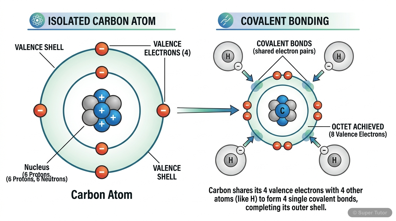 A diagram illustrating the electronic configuration of a carbon atom (2,4) and how it achieves stability by forming four covalent bonds, making it tetravalent.