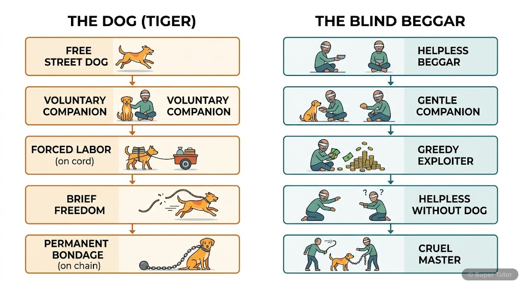 The Blind Dog: Character Arc of Tiger and the Blind Beggar A flowchart illustrating the parallel and contrasting character arcs of the dog (Tiger) and the blind beggar throughout the story, highlighting their transformation from initial state to final state.