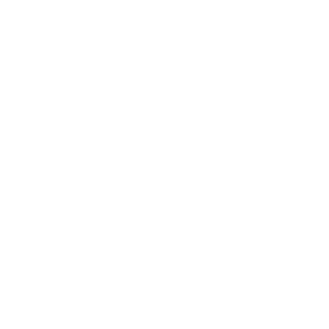 SSI Logo