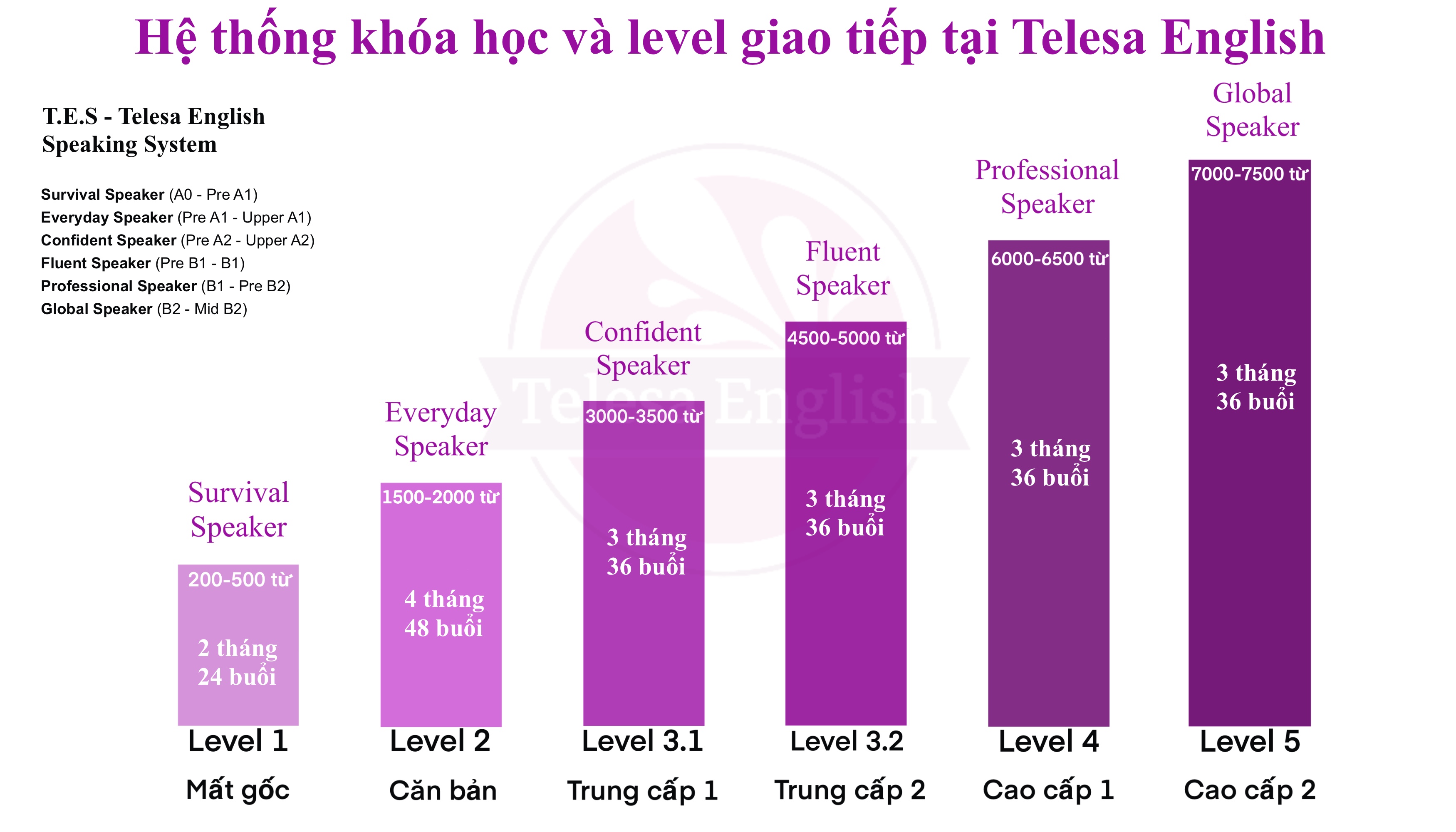 Cảm nhận của học viên
