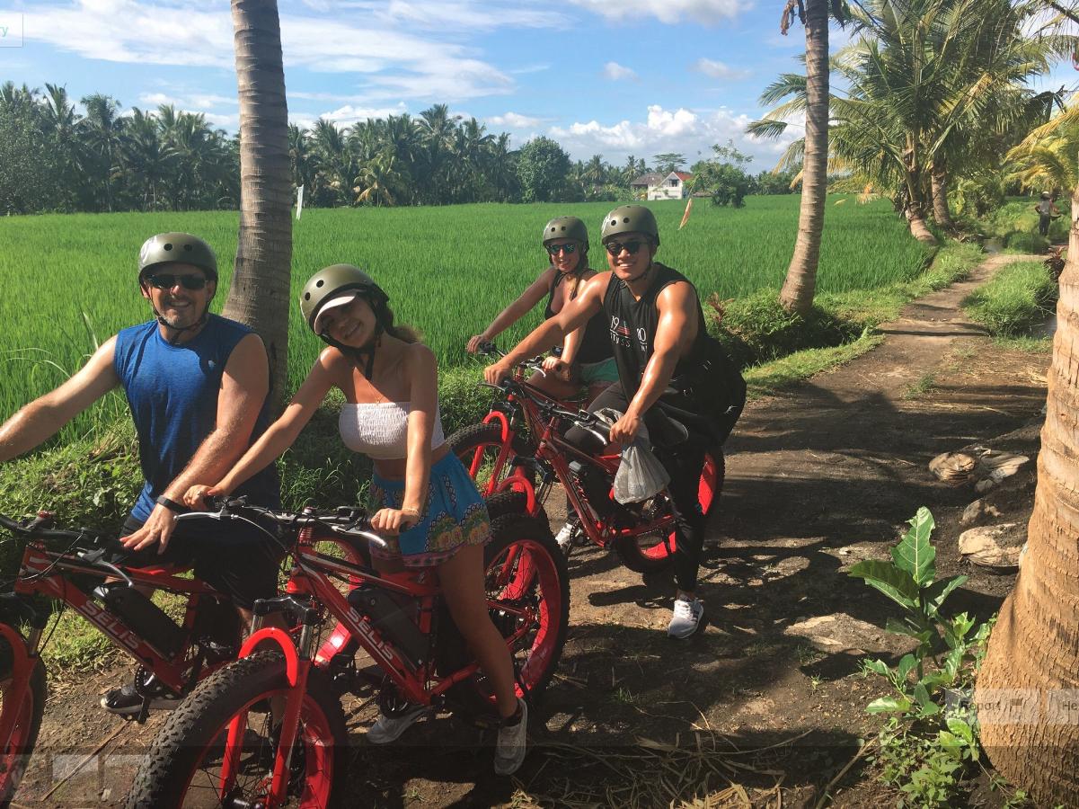 The Bali Bible HalfDay FatTire EBike Tour in Ubud