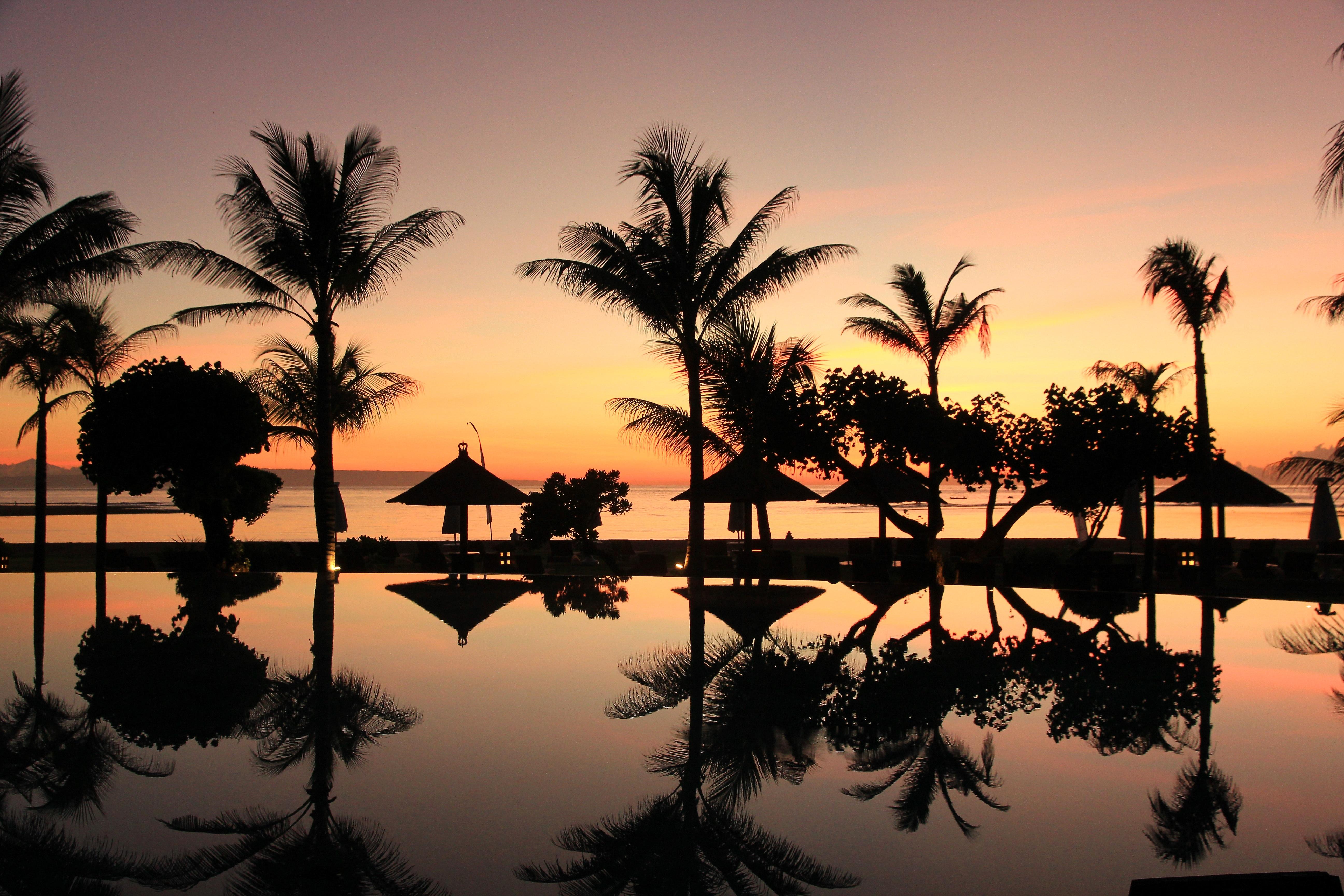 The Bali Bible Ten Dishes And Treats To Try In Bali the-bali-bible-ten-dishes-and-treats-to-try-in-bali