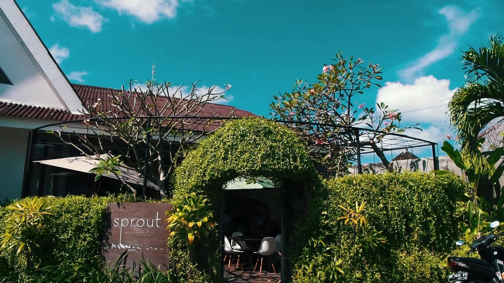 The Bali Bible Sprout Bali