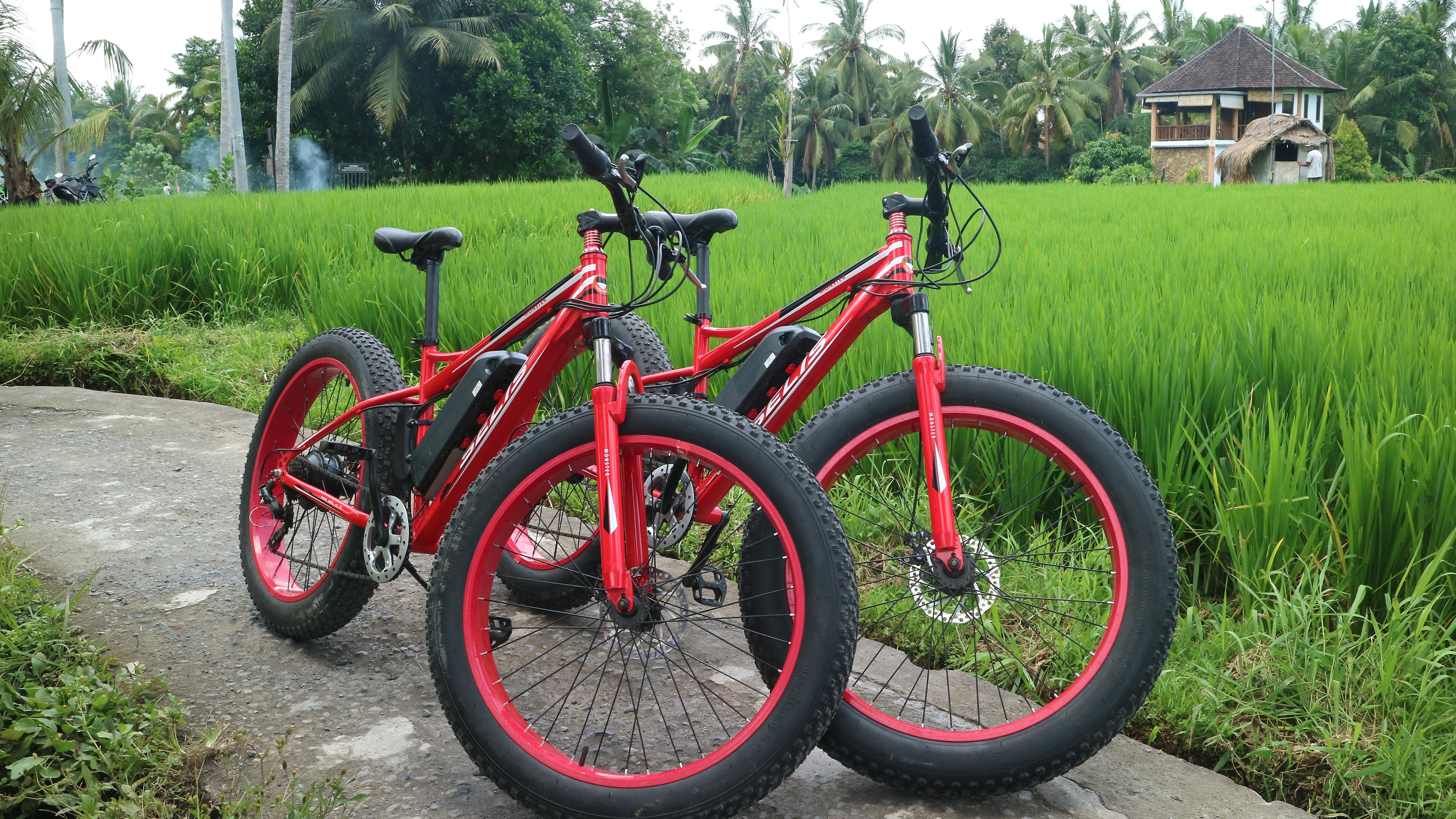 The Bali Bible HalfDay FatTire EBike Tour in Ubud