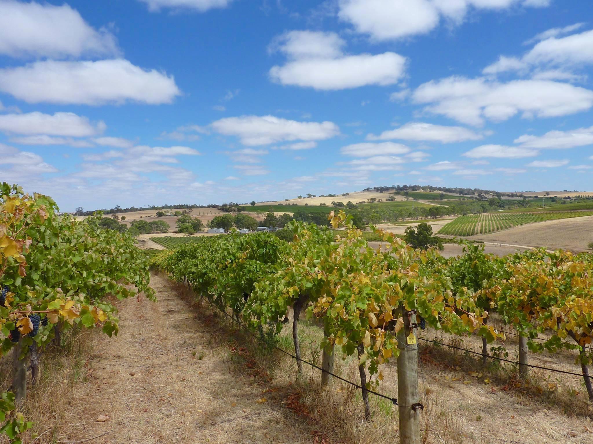 wentravel CRFT Wines, Adelaide Hills