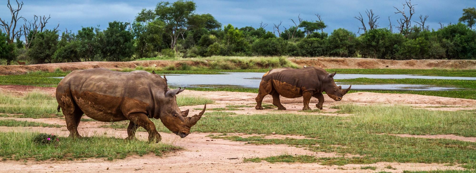 Explore Travel | Your Next Dream Holiday | Eswatini