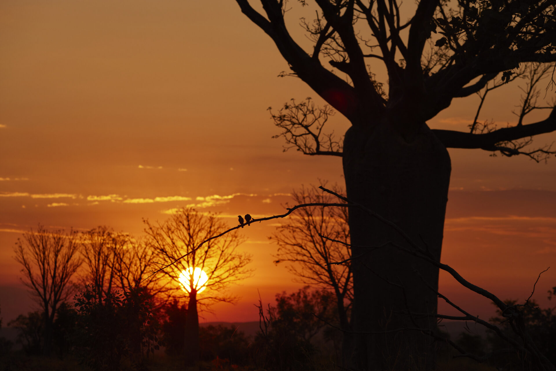 897 Tura Warmun Landscapes 211018 J Wyld