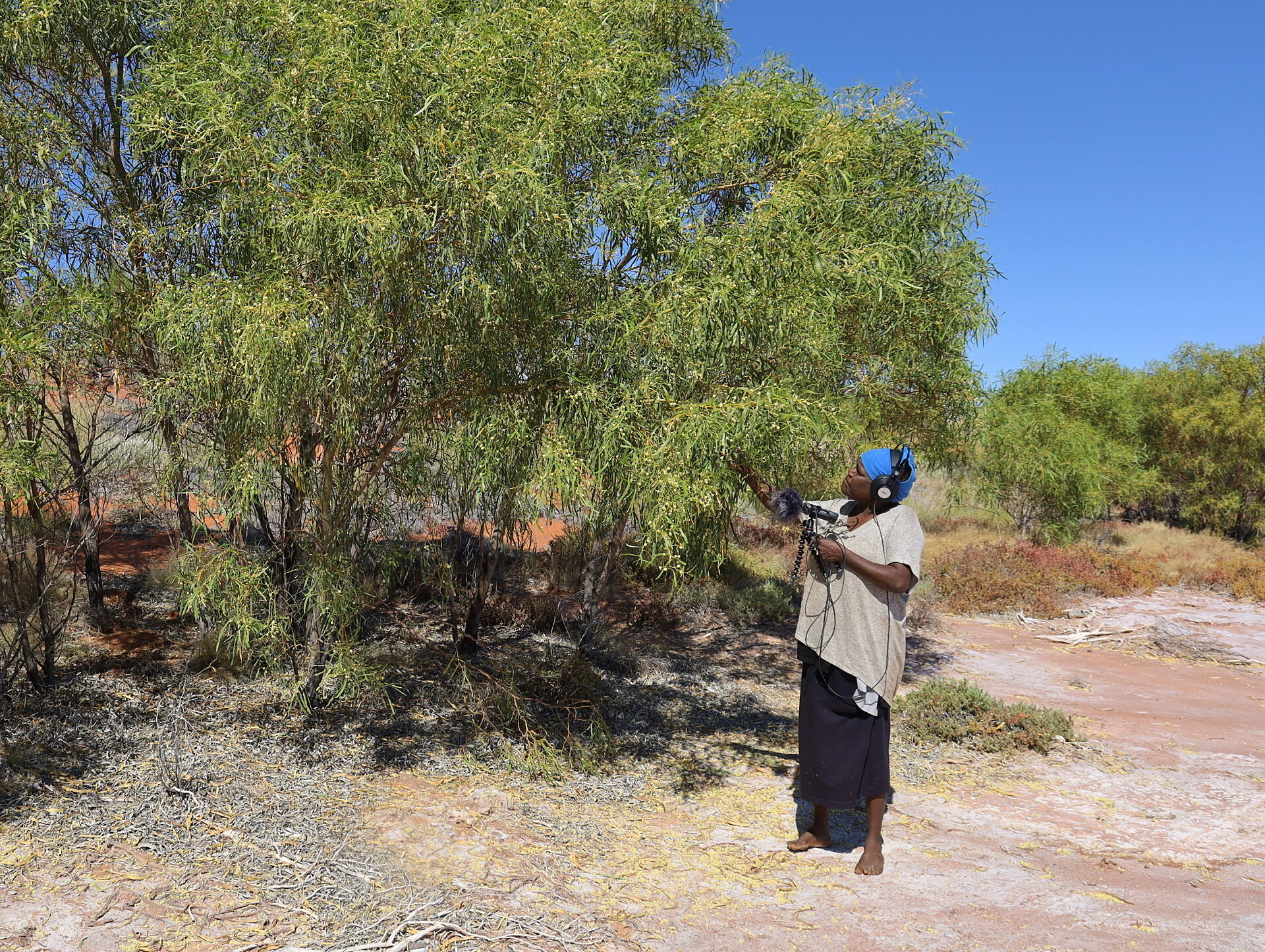 Kulininpalaju IMG 0428